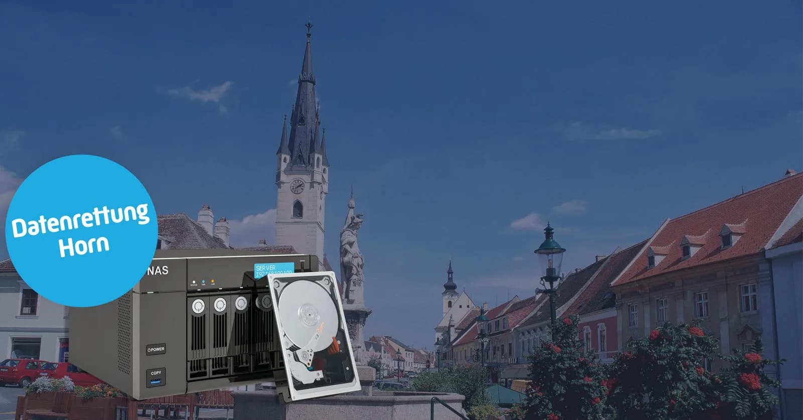 Datenrettung NAS System in Horn